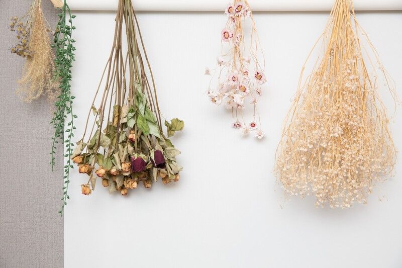 AdobeStock_102151614